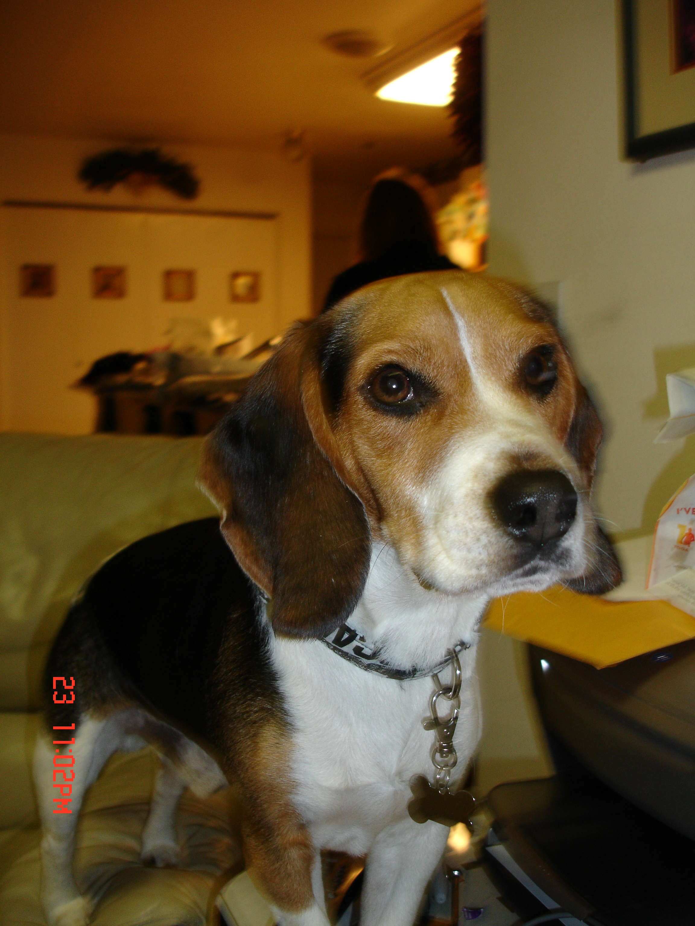 dsc01111.jpg