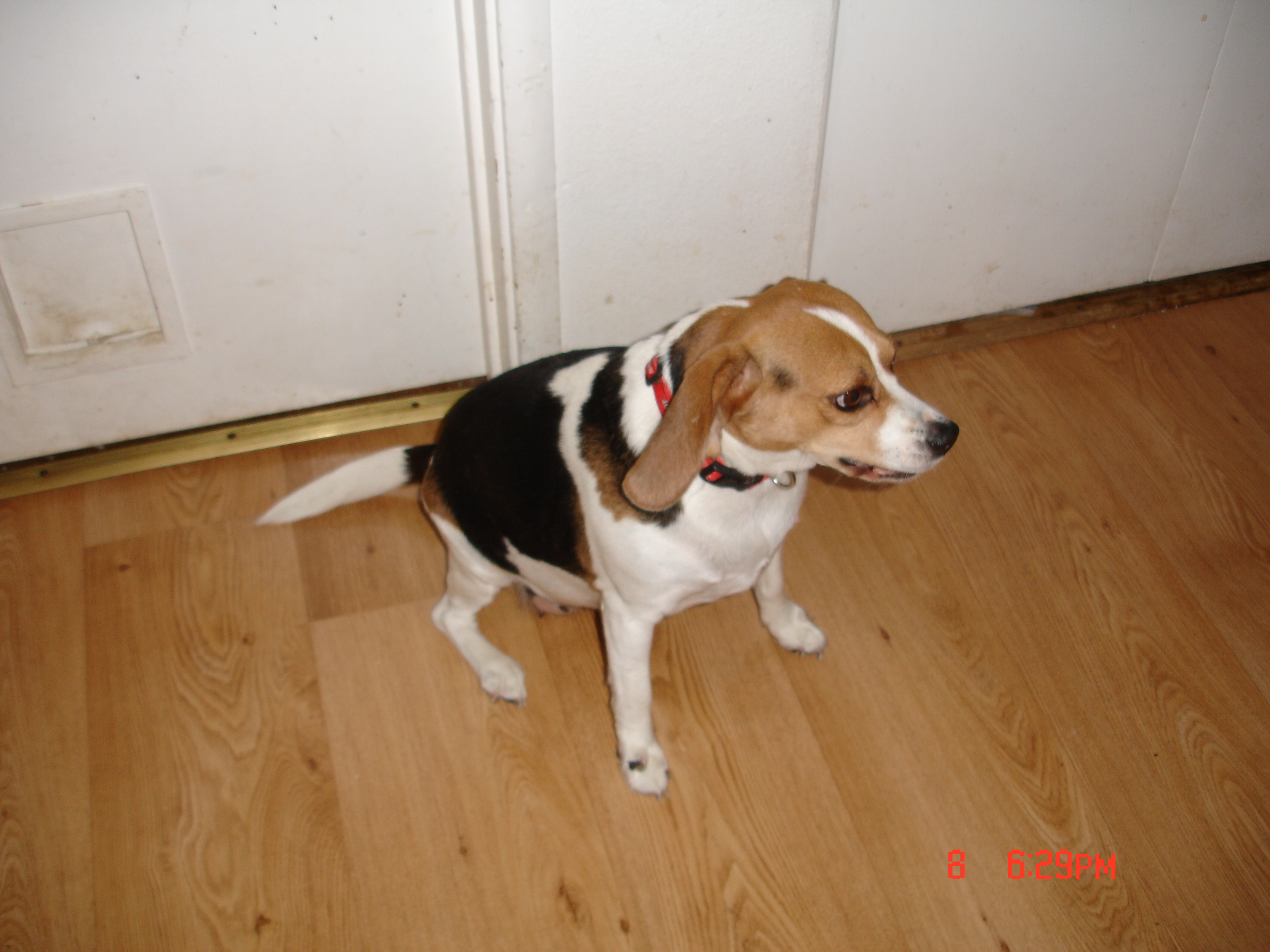 dsc01609.jpg