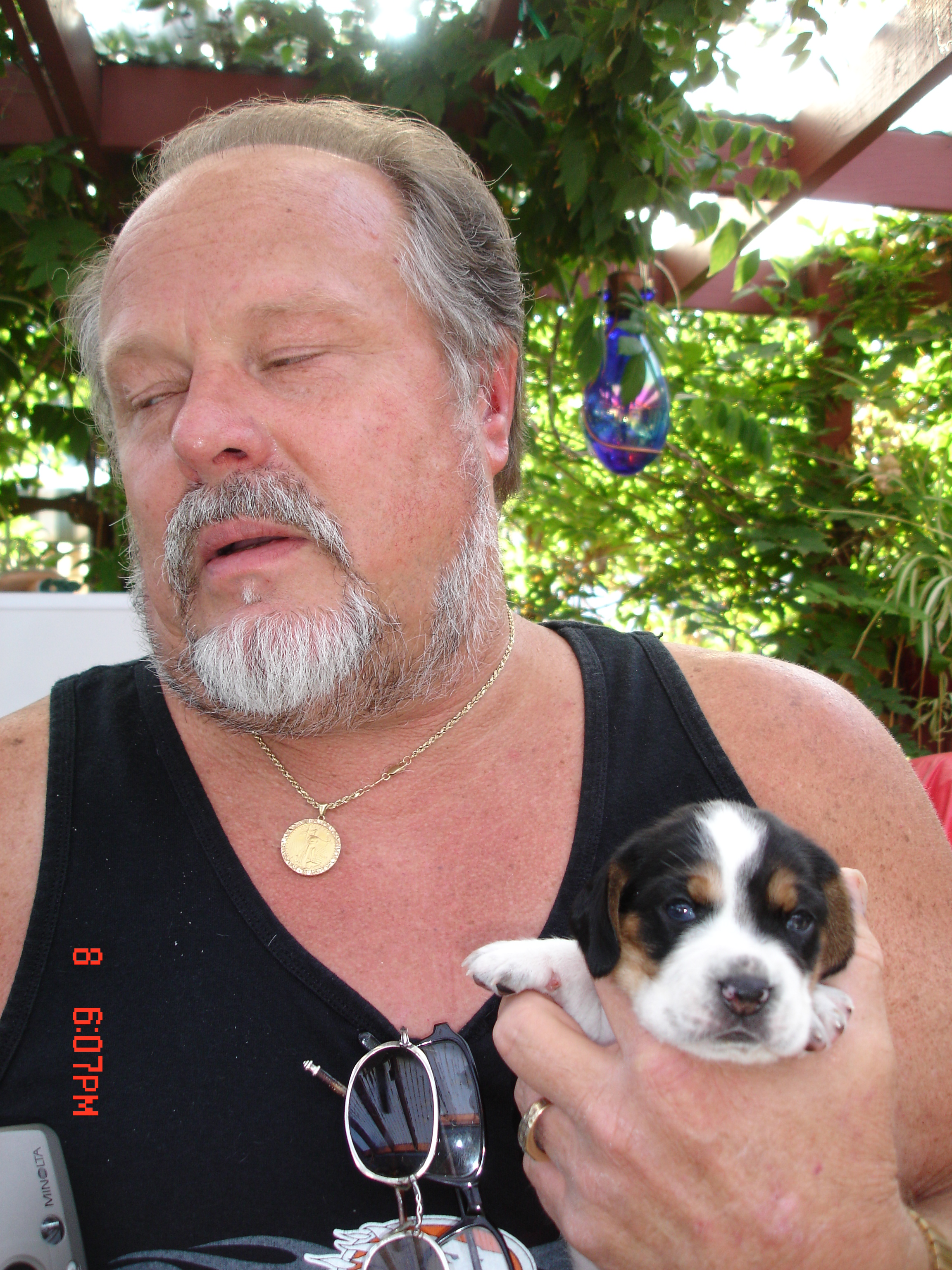 pup1.jpg